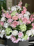 The Blush Romance Collection
