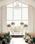 Pedestal Stands